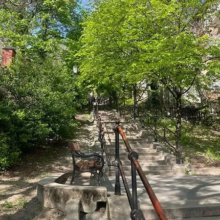 Heart & Cherry Residency *